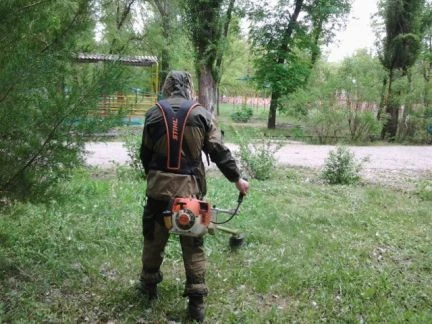 Фото Покос травы