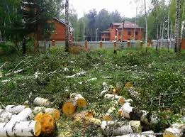 Фото Уборка территории.Все виды работ