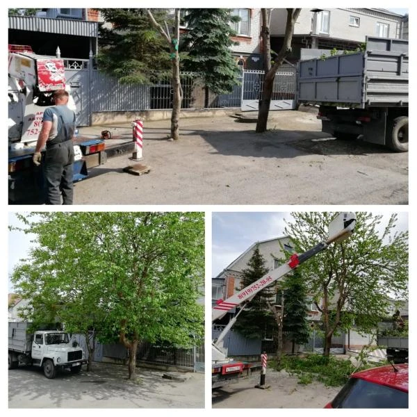 Фото Спил деревьев, удаление пней, вывоз