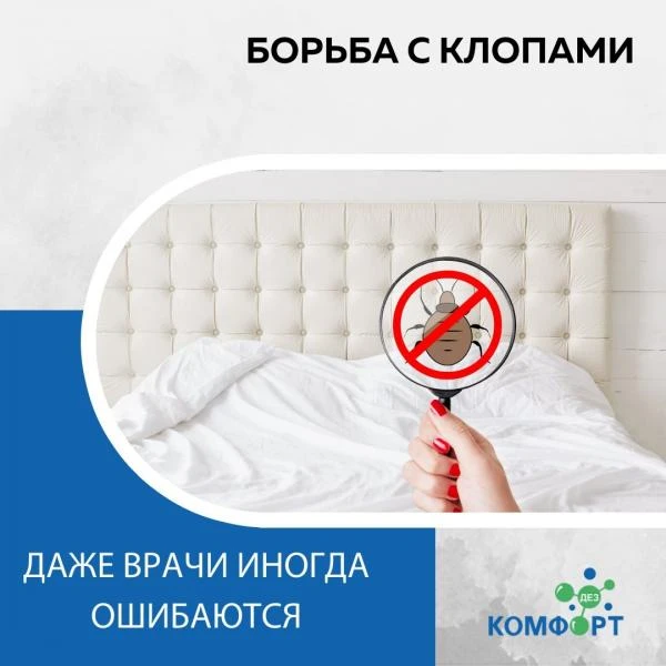 Фото Уничтожение клопов