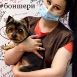 Фото №6 Груминг 