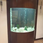 Фото №9 Аквариум из оргстекла