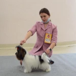 Фото №3 Хендлер, подготовка собак к выставкам 