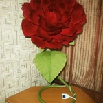 Фото №9 Ростовые цветы