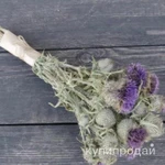 Фото №2 Букетики Чертополох. Цена за букет.