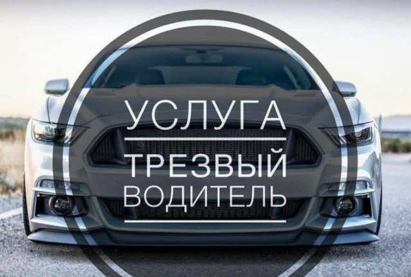 Фото Трезвый Водитель