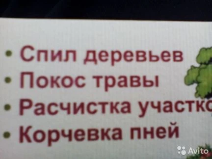 Фото Валка деревьевРасчистка участков обрезка