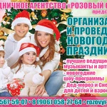 Фото №9 Заказать Дед Мороза в Солнечногорске.