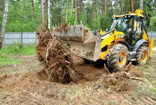Фото расчистка участков