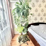 Фото №9 2-к квартира, 54 м2, 2/10 эт.