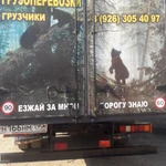 Фото №4 Грузоперевозки "Эконом-Строй" В Шатурском районе