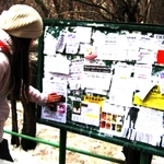 Фото №2 Расклейка объявлений Печать рекламы