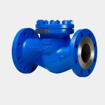 Клапан обратный 19с76нж