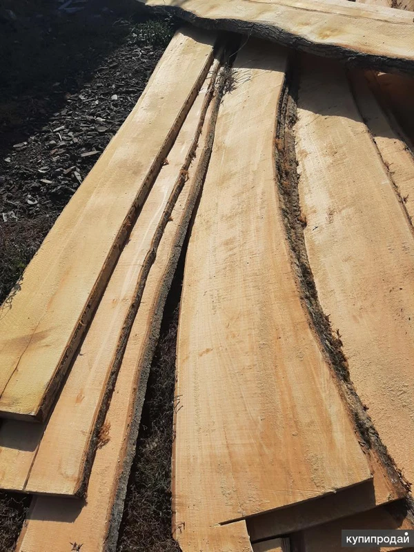 Фото Доска из Липы