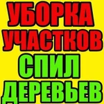 Спил деревьев, уборка участков, вывоз