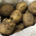 Картофель доставка