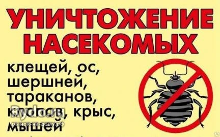 Фото Уничтожение тараканов,клопов,блох и грызунов