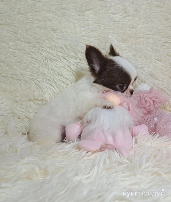 Фото Сказочный мини эльфик-девочка