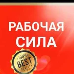 Демонтаж-Слом стен-Вывоз