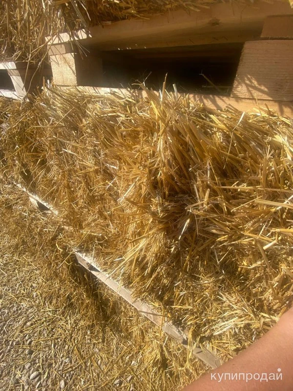 Фото Продаем Солому