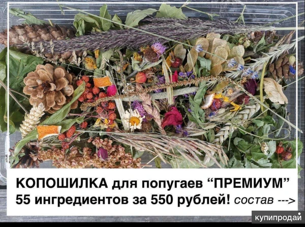 Фото Копошилка для попугаев птиц