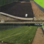 Фото №8 Газон посевной и рулонный