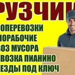 Грузчики. Вывоз мусора. Грузоперевозки