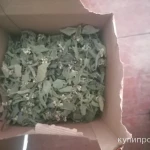 Фото №2 Крапива глухая (мертвая) белая.