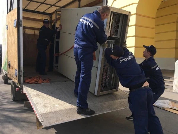Фото Услуги грузчиков