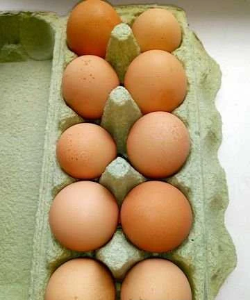 Фото Яйцо куриное