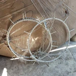 Фото №7 Свадьба:Палатка, зонты белые, стол 180, люстра для цветов, мольберт для рассадки