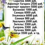 Фото №3 Такси Комфорт Межгород 