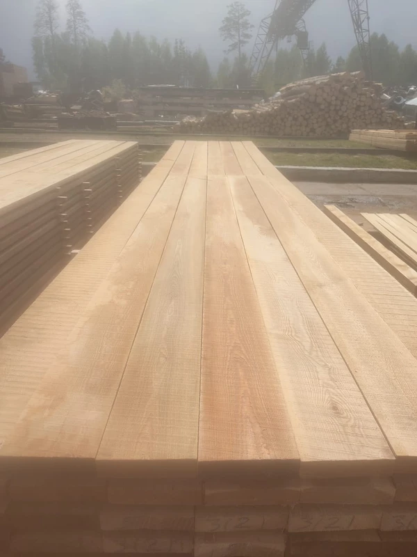 Фото Лиственница, хвоя продажа оптом от производителя.