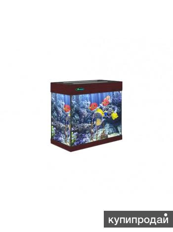 Фото Магазин аквариумов Seaprice в Москве. Аквариумы, террариумы, оборудование