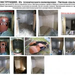 Фото №10  Комфортная Отделка или Реконструкция Дачи, загородного дома