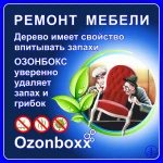 Фото №10 Озонирование - удаление запахов, плесени, инфекций