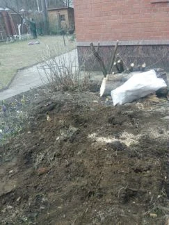 Фото Уборка территории