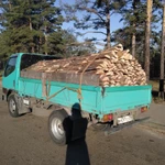 Фото №3 ПродамГорбыль.Доску заборную.полуобрезную.Дрова
