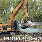 фото Расчистка территорий от деревьев, кустарников и корней