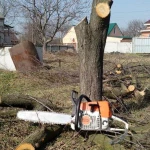 Валка Спил Обрезка Деревьев любой сложности 