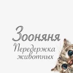 Домашняя передержка животных,зоогостиница