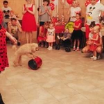 Фото №3 Шоу-программы, Аквагрим