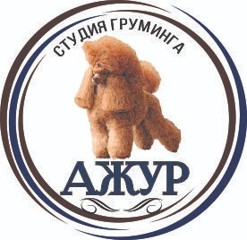 Фото Стрижка собак и кошек 