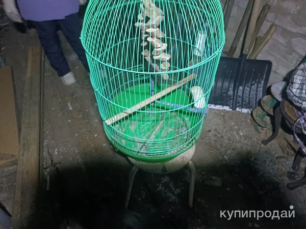 Фото Клетка для попугаев.