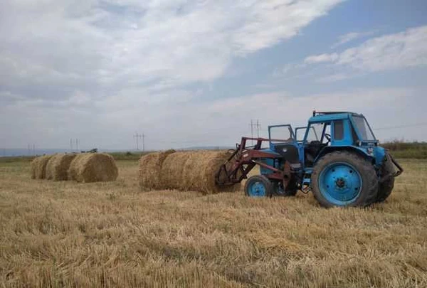 Фото Услуги погрузчика