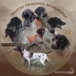 Фото №3 Презентации собак/кошек/лошадей/помета/вязки