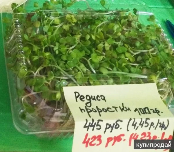 Фото Проростки подсолнечника, горчицы, редиса и других, 30 грамм