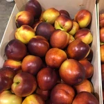 Фото №7 Продаем нектарин