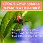 Обработка от клещей (акарицидная обработка)