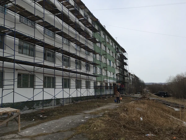 Фото аренда леса строительные